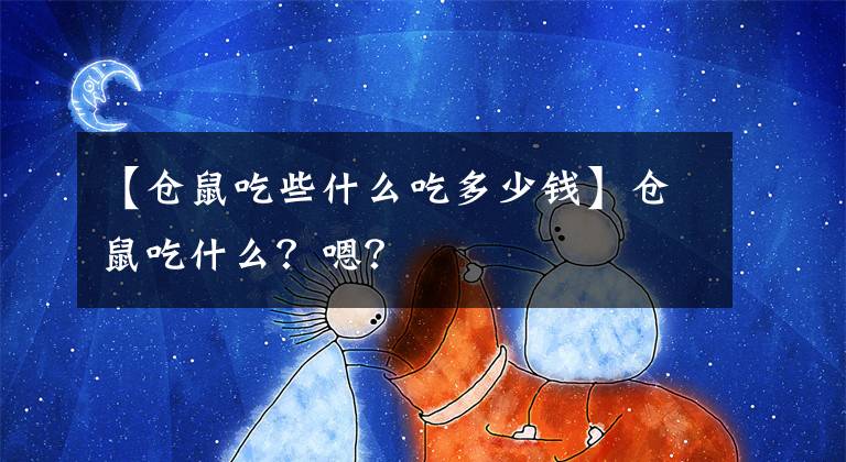 【仓鼠吃些什么吃多少钱】仓鼠吃什么？嗯？