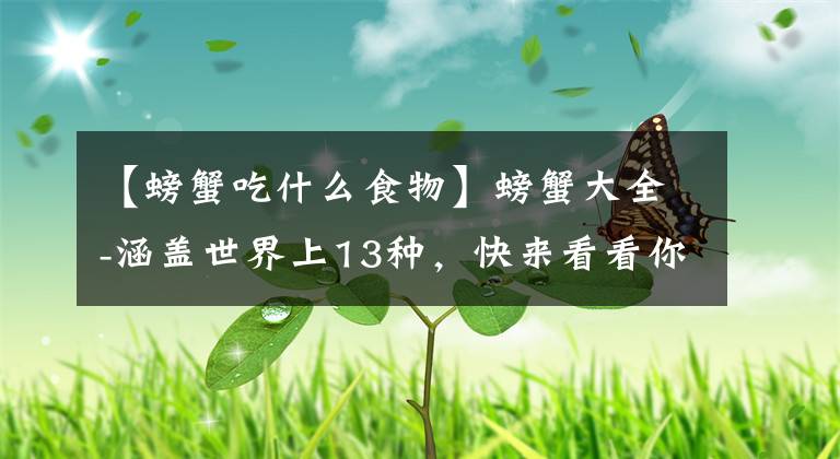【螃蟹吃什么食物】螃蟹大全-涵盖世界上13种，快来看看你认识多少种吧