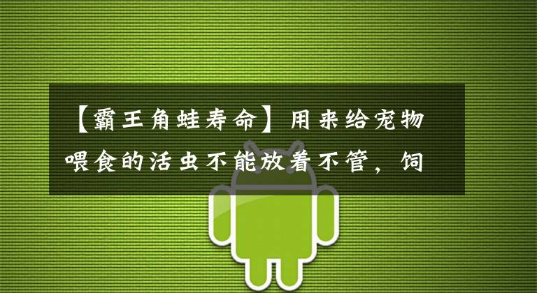 【霸王角蛙寿命】用来给宠物喂食的活虫不能放着不管，饲料优质程度影响着宠物健康