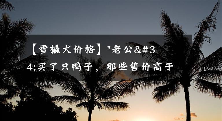【雪橇犬价格】"老公"买了只鸭子，那些售价高于月薪的宠物…确定不来了解一下？