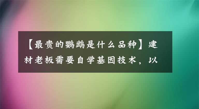 【最贵的鹦鹉是什么品种】建材老板需要自学基因技术，以3000韩元出售一只耳鹦鹉。