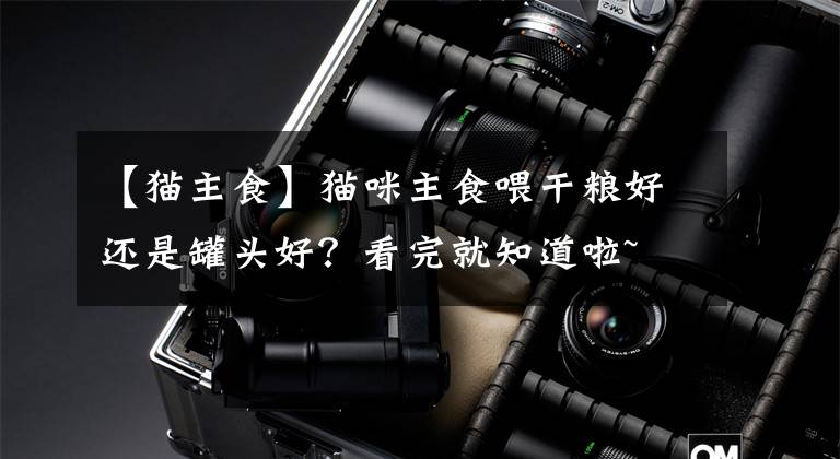 【猫主食】猫咪主食喂干粮好还是罐头好？看完就知道啦~