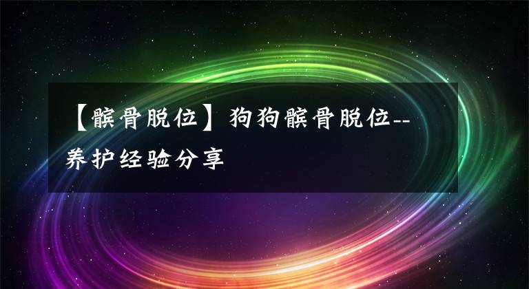 【髌骨脱位】狗狗髌骨脱位--养护经验分享