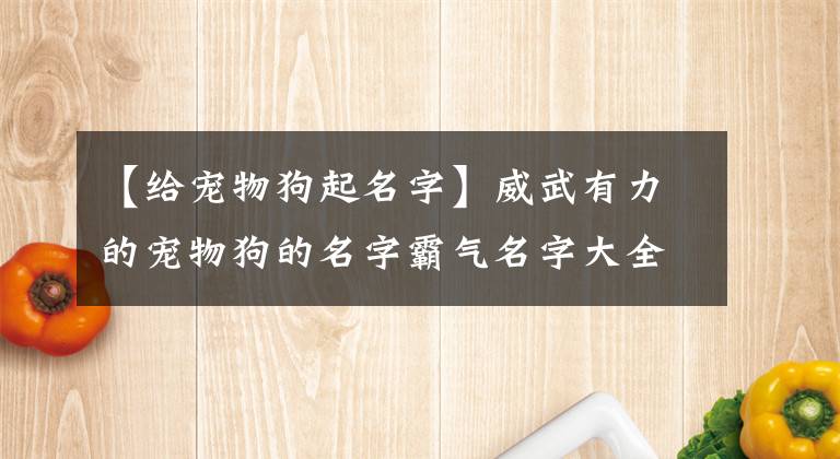 【给宠物狗起名字】威武有力的宠物狗的名字霸气名字大全很猛-可爱点