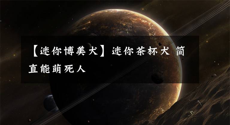 【迷你博美犬】迷你茶杯犬 简直能萌死人