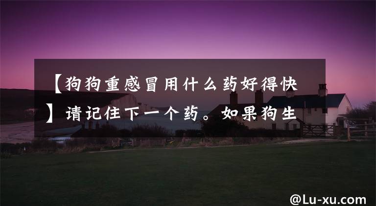 【狗狗重感冒用什么药好得快】请记住下一个药。如果狗生病了，就不会再被医院坑了。