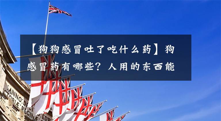 【狗狗感冒吐了吃什么药】狗感冒药有哪些？人用的东西能吃吗？