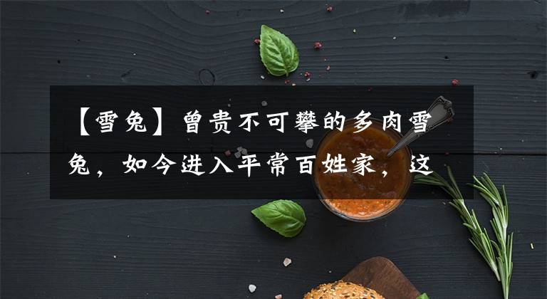 【雪兔】曾贵不可攀的多肉雪兔，如今进入平常百姓家，这是多肉界的幸运
