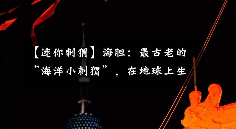 【迷你刺猬】海胆：最古老的“海洋小刺猬”，在地球上生活了上亿年