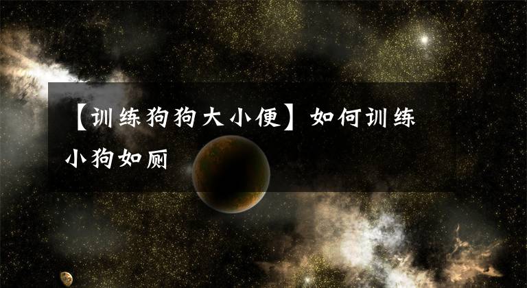 【训练狗狗大小便】如何训练小狗如厕