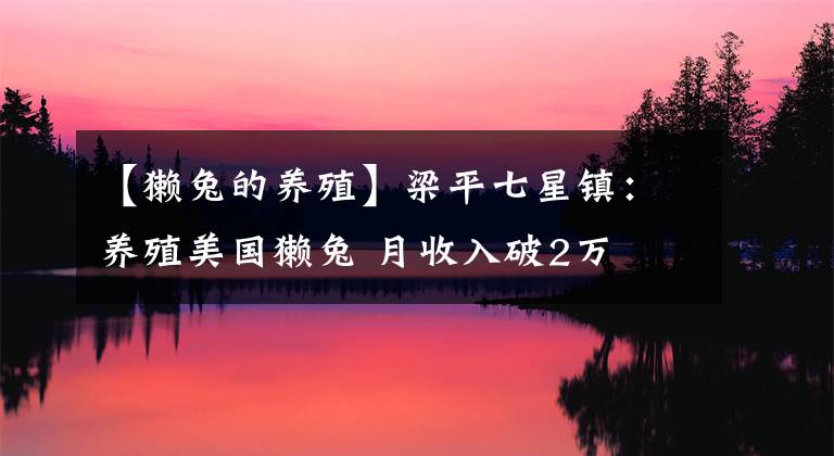 【獭兔的养殖】梁平七星镇：养殖美国獭兔 月收入破2万