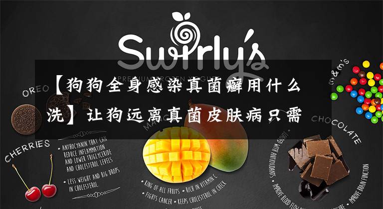 【狗狗全身感染真菌癣用什么洗】让狗远离真菌皮肤病只需要六个步骤。