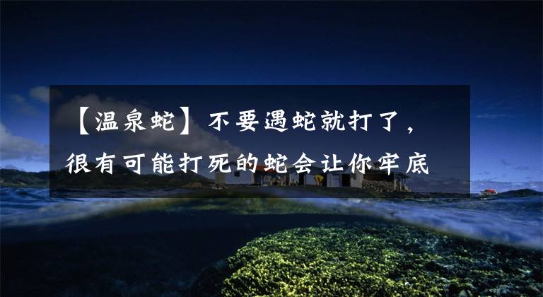 【温泉蛇】不要遇蛇就打了，很有可能打死的蛇会让你牢底坐穿