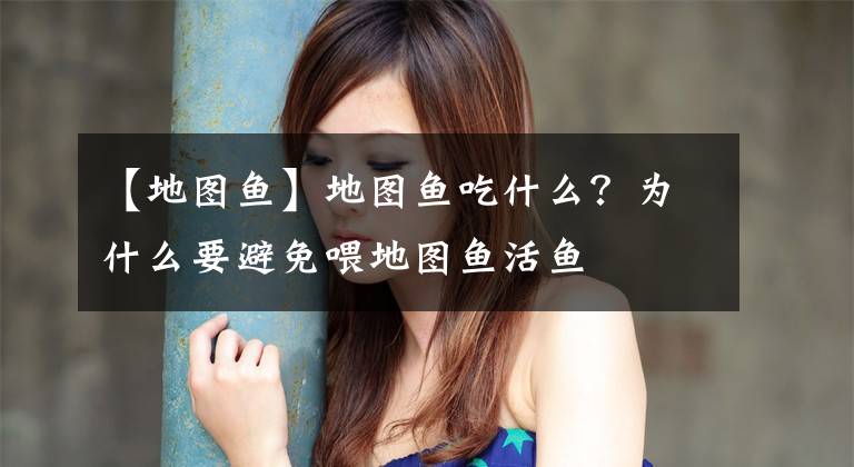 【地图鱼】地图鱼吃什么？为什么要避免喂地图鱼活鱼