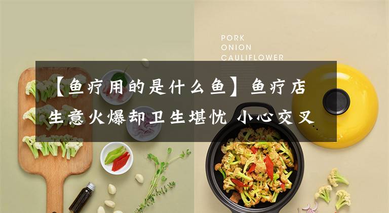 【鱼疗用的是什么鱼】鱼疗店生意火爆却卫生堪忧 小心交叉感染皮肤病