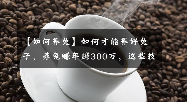 【如何养兔】如何才能养好兔子，养兔赚年赚300万，这些技巧必须看