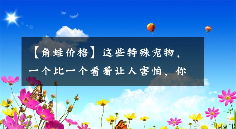 【角蛙价格】这些特殊宠物，一个比一个看着让人害怕，你敢养吗？