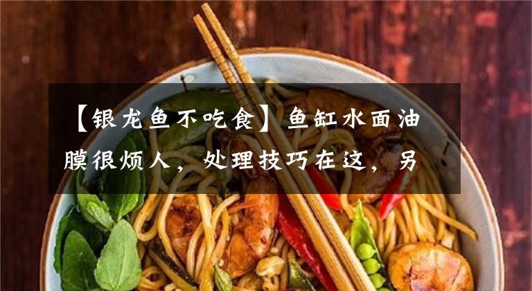 【银龙鱼不吃食】鱼缸水面油膜很烦人，处理技巧在这，另外这几类观赏鱼是它的克星