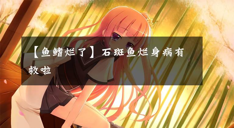 【鱼鳍烂了】石斑鱼烂身病有救啦
