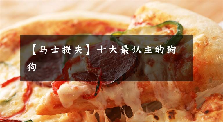 【马士提夫】十大最认主的狗狗