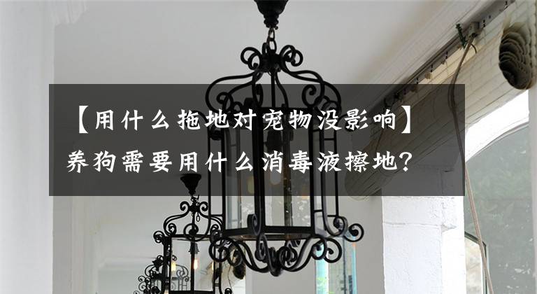 【用什么拖地对宠物没影响】养狗需要用什么消毒液擦地？