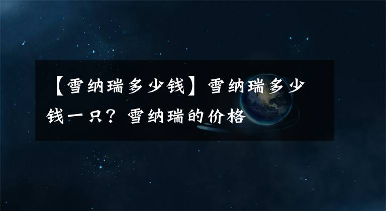 【雪纳瑞多少钱】雪纳瑞多少钱一只？雪纳瑞的价格