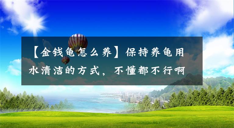 【金钱龟怎么养】保持养龟用水清洁的方式，不懂都不行啊
