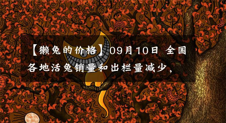 【獭兔的价格】09月10日 全国各地活兔销量和出栏量减少，价格涨跌博弈