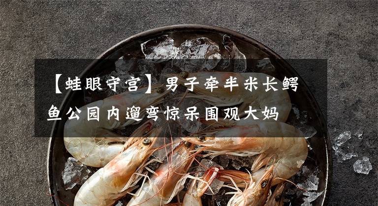 【蛙眼守宫】男子牵半米长鳄鱼公园内遛弯惊呆围观大妈