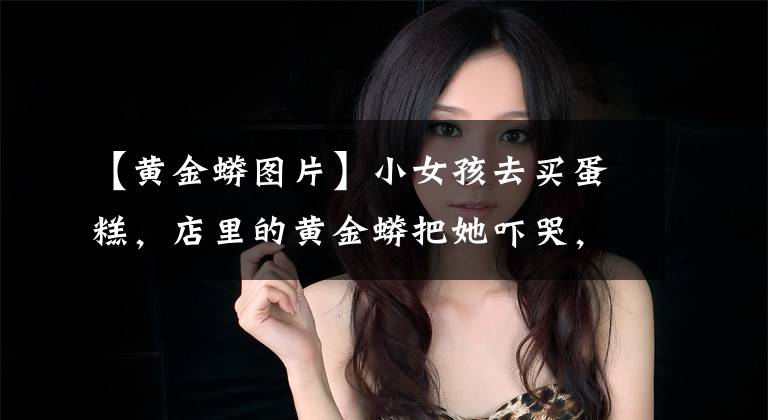 【黄金蟒图片】小女孩去买蛋糕，店里的黄金蟒把她吓哭，下一秒它就悲剧了