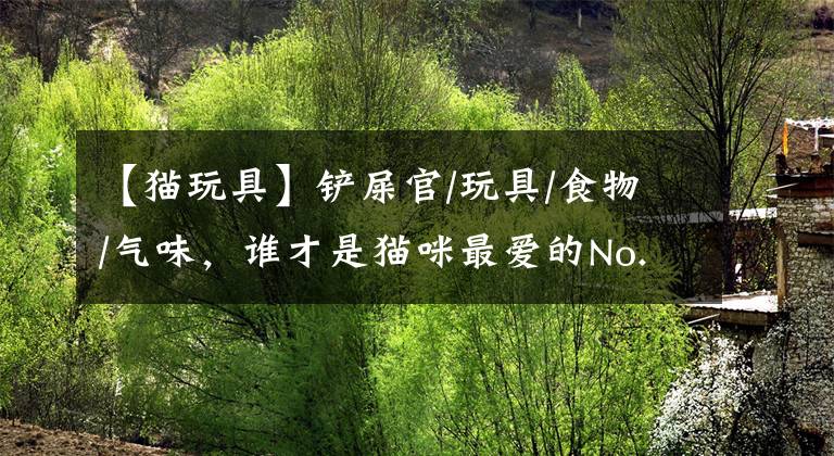 【猫玩具】铲屎官/玩具/食物/气味，谁才是猫咪最爱的No.1?
