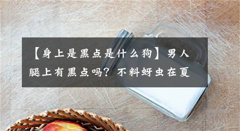 【身上是黑点是什么狗】男人腿上有黑点吗？不料蚜虫在夏天要注意这可怕的小虫。