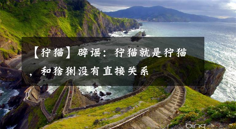 【狞猫】辟谣：狞猫就是狞猫，和猞猁没有直接关系