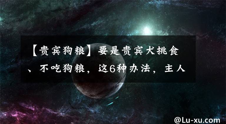 【贵宾狗粮】要是贵宾犬挑食、不吃狗粮，这6种办法，主人可以试一下