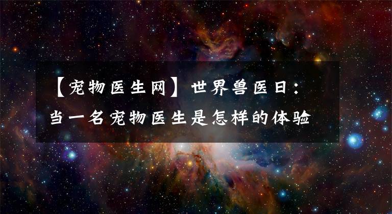 【宠物医生网】世界兽医日：当一名宠物医生是怎样的体验？