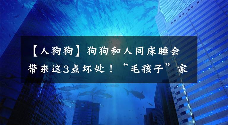 【人狗狗】狗狗和人同床睡会带来这3点坏处！“毛孩子”家长们要注意