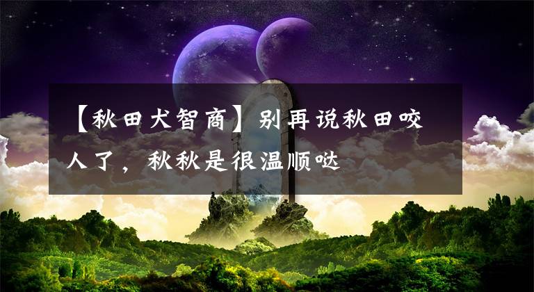 【秋田犬智商】别再说秋田咬人了，秋秋是很温顺哒