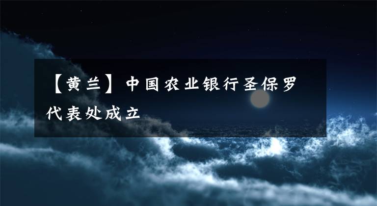 【黄兰】中国农业银行圣保罗代表处成立