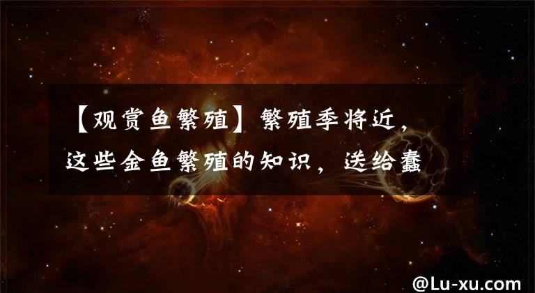 【观赏鱼繁殖】繁殖季将近，这些金鱼繁殖的知识，送给蠢蠢欲动的你