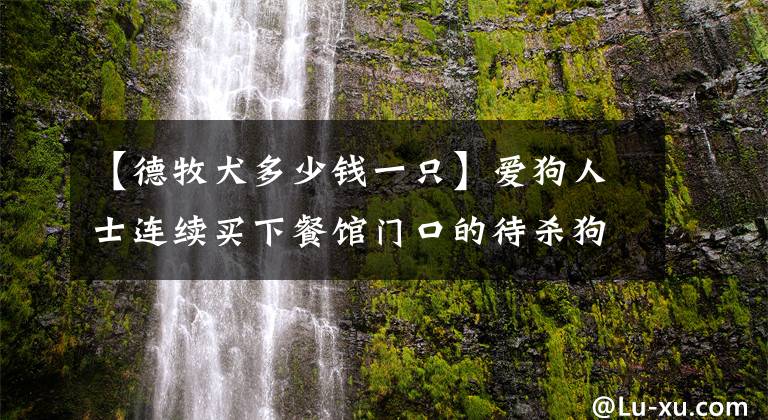 【德牧犬多少钱一只】爱狗人士连续买下餐馆门口的待杀狗，质疑老板“利用善心”