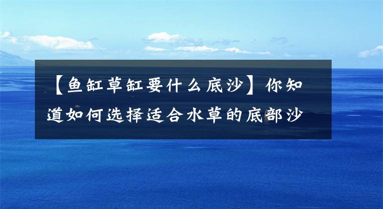 【鱼缸草缸要什么底沙】你知道如何选择适合水草的底部沙子吗？