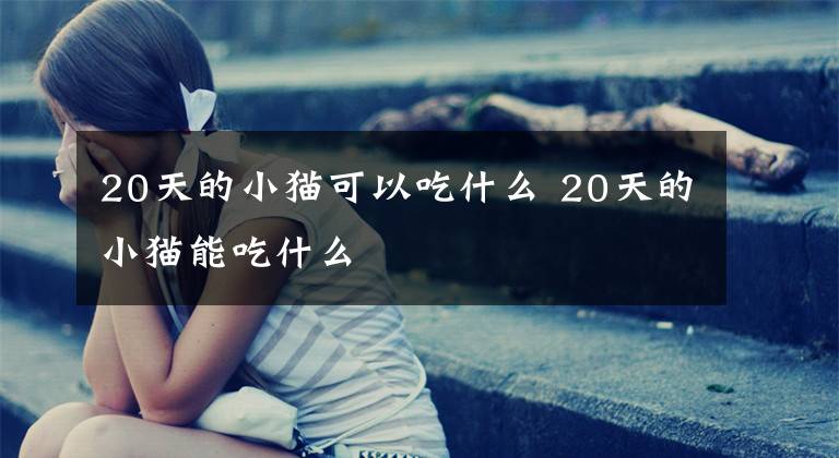 20天的小猫可以吃什么 20天的小猫能吃什么