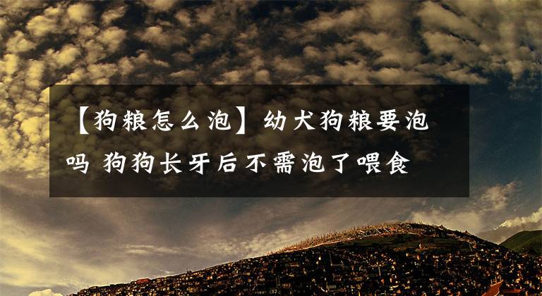 【狗粮怎么泡】幼犬狗粮要泡吗 狗狗长牙后不需泡了喂食