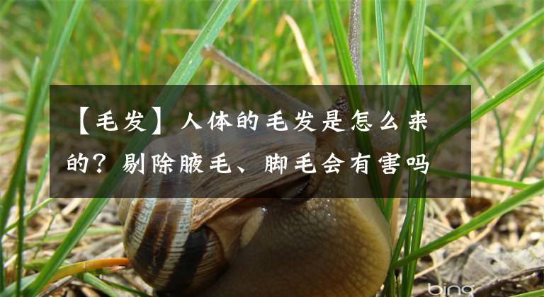 【毛发】人体的毛发是怎么来的？剔除腋毛、脚毛会有害吗？医生讲出大实话