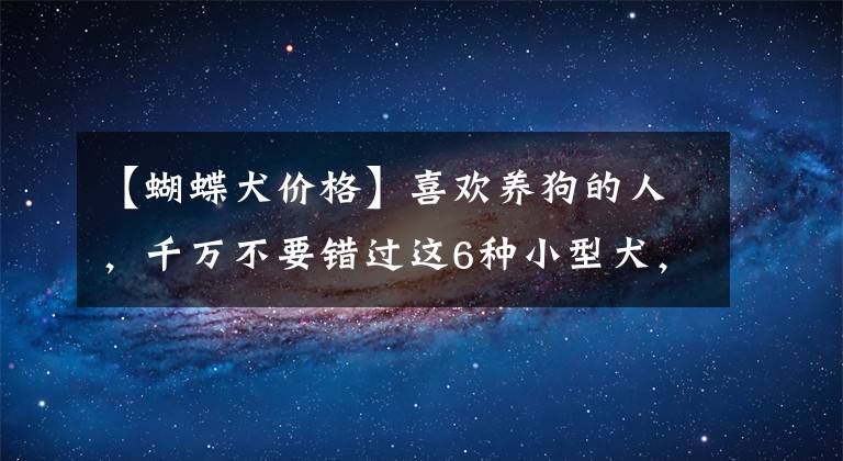 【蝴蝶犬价格】喜欢养狗的人，千万不要错过这6种小型犬，它会忠诚你一辈子