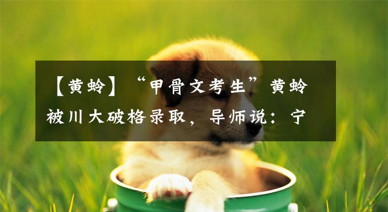 【黄蛉】“甲骨文考生”黄蛉被川大破格录取，导师说：宁可辞职，也不教他