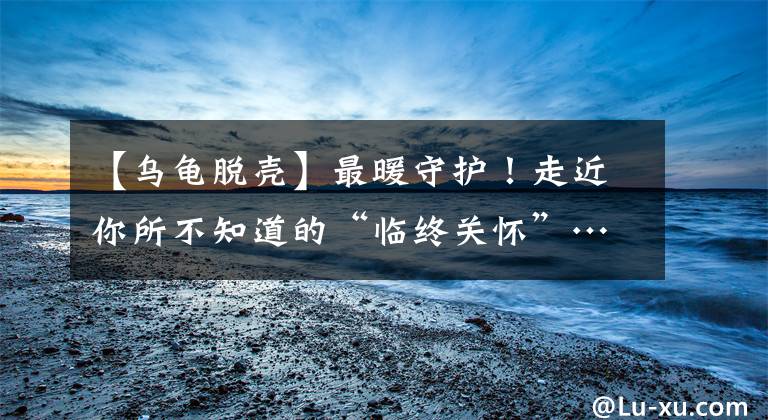 【乌龟脱壳】最暖守护！走近你所不知道的“临终关怀”……