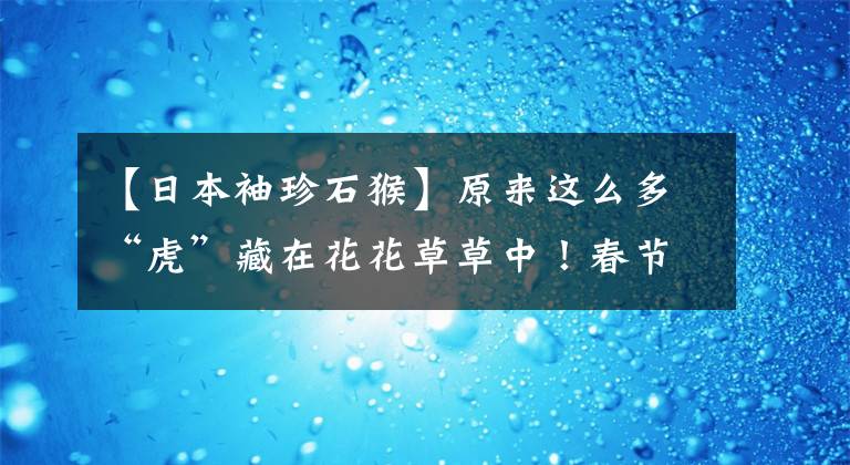 【日本袖珍石猴】原来这么多“虎”藏在花花草草中！春节到华南植物园寻“虎”