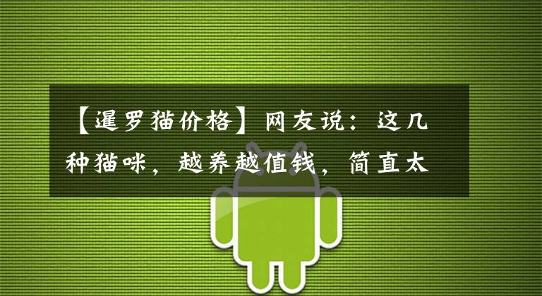 【暹罗猫价格】网友说：这几种猫咪，越养越值钱，简直太上瘾