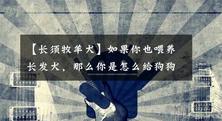 【长须牧羊犬】如果你也喂养长发犬，那么你是怎么给狗狗打理毛发的？